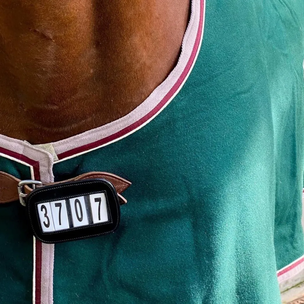 ACE Pro4mance 4 Digit Horse Show Number ID