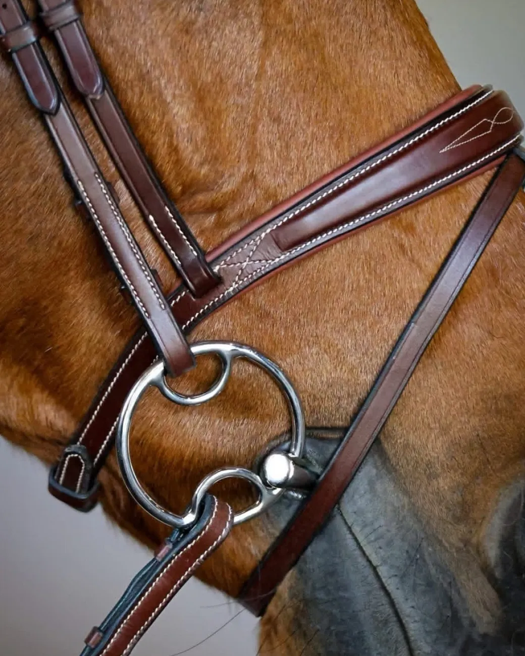 AJR Sport Anatomic Jumper Bridle