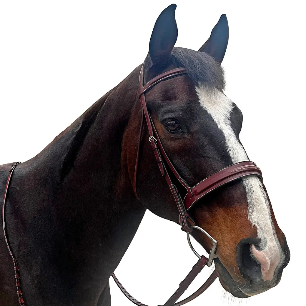 Allon Hunter Bridle