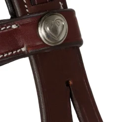 Allon Hunter Bridle