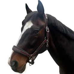 Allon Show Halter
