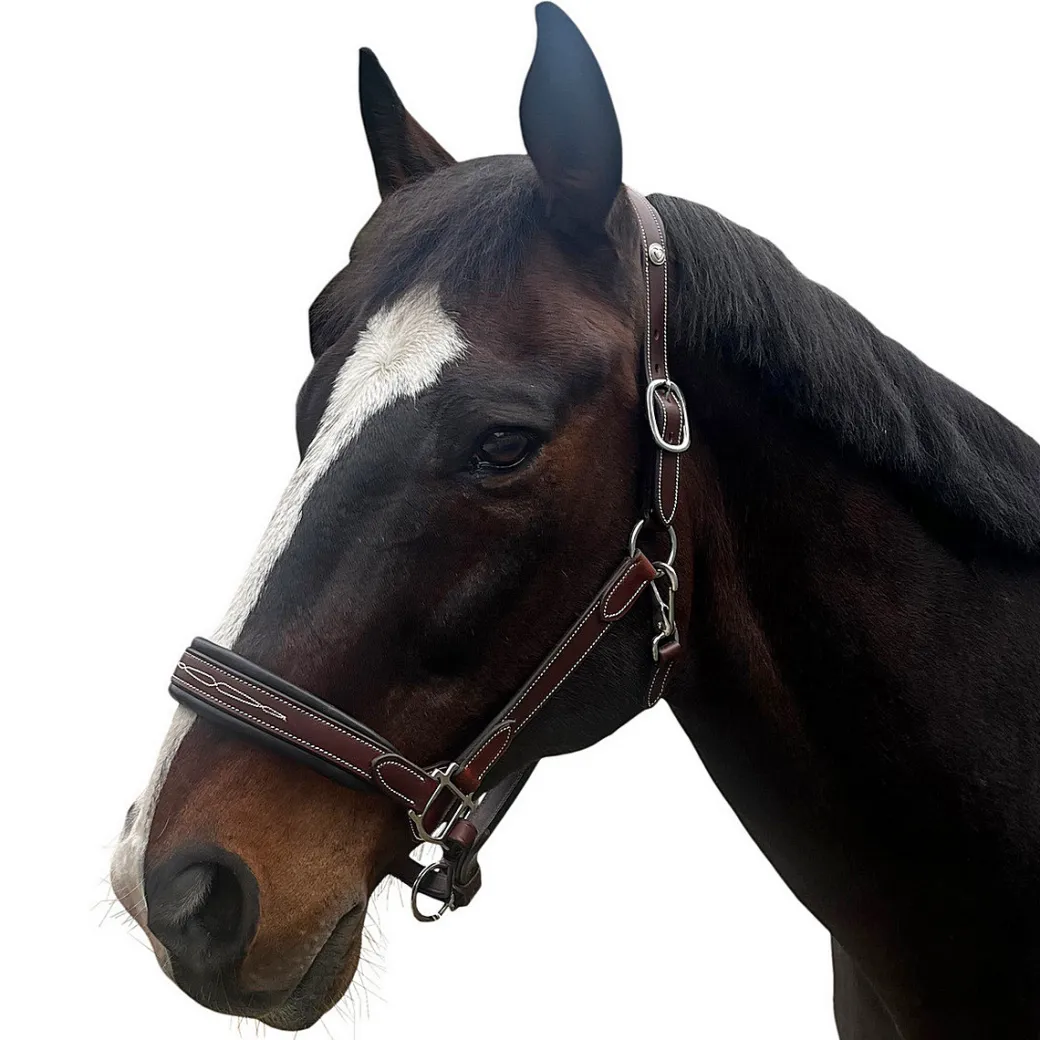 Allon Show Halter
