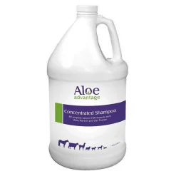 Aloe Advantage Concentrated Shampoo