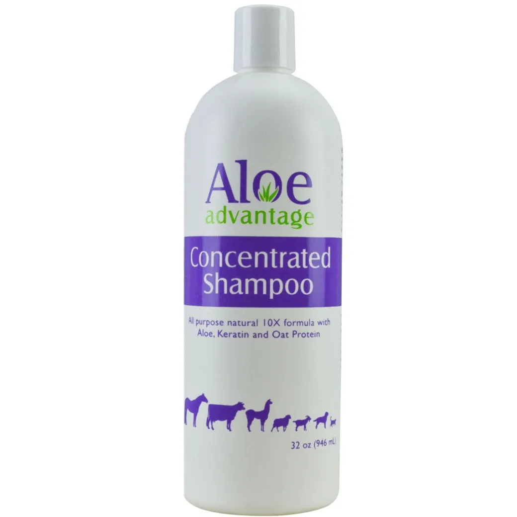 Aloe Advantage Concentrated Shampoo