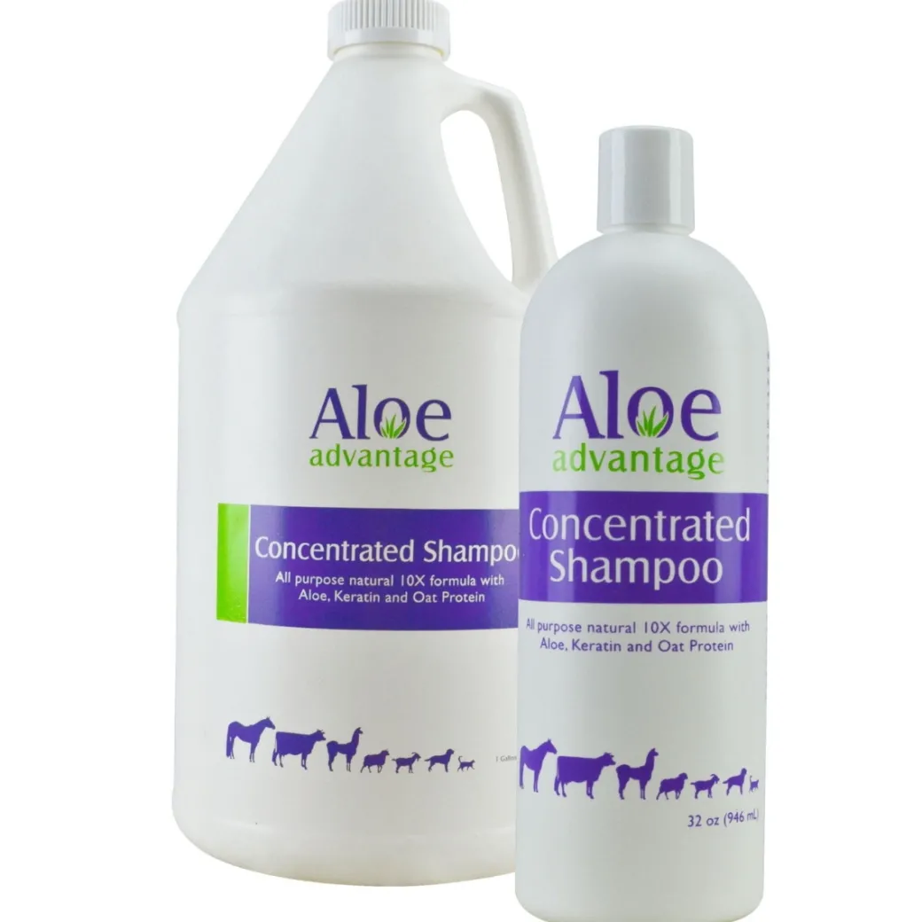 Aloe Advantage Concentrated Shampoo