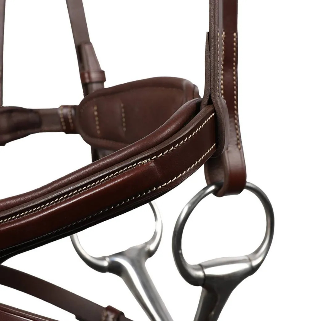Antarès Signature Sport Flash Bridle