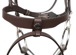 Antarès Signature Training Bridle