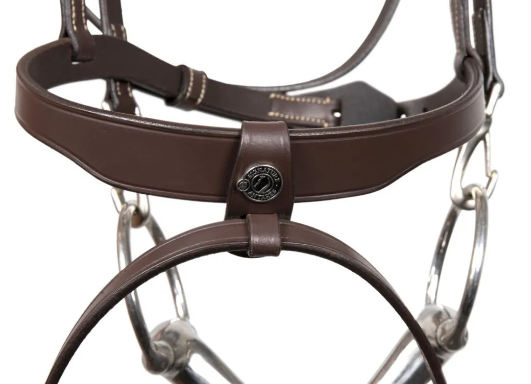 Antarès Signature Training Bridle