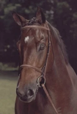 Arc De Triomphe Imperial Snaffle Bridle