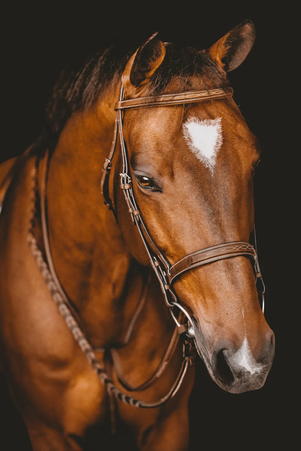 Arion Fancy Stitch Hunter Bridle