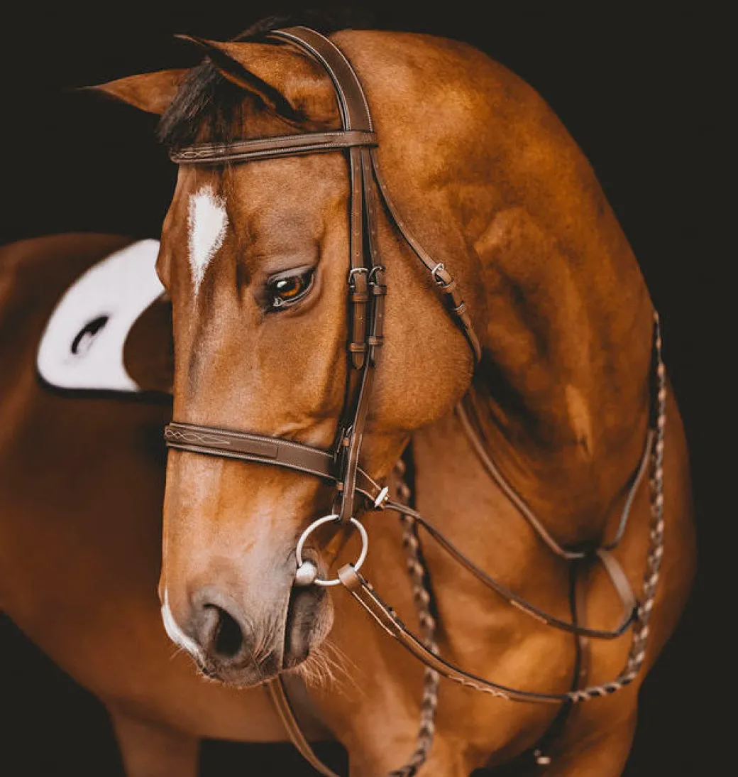 Arion Fancy Stitch Hunter Bridle