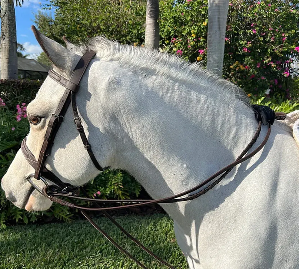 Belle & Bow Pony Draw Reins