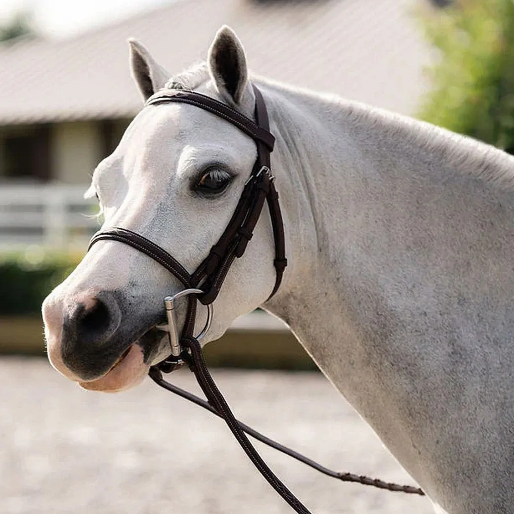 Belle & Bow Pony Farnley Bridle