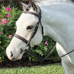 Belle & Bow Pony Sugarbrook Bridle