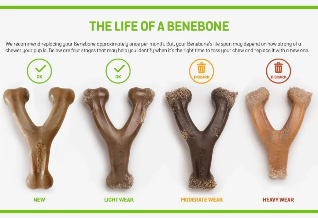 Benebone Pawplexer