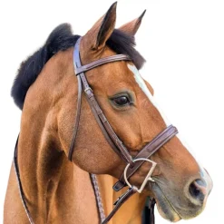 Beval Heritage Wide Fancy Stitch Bridle