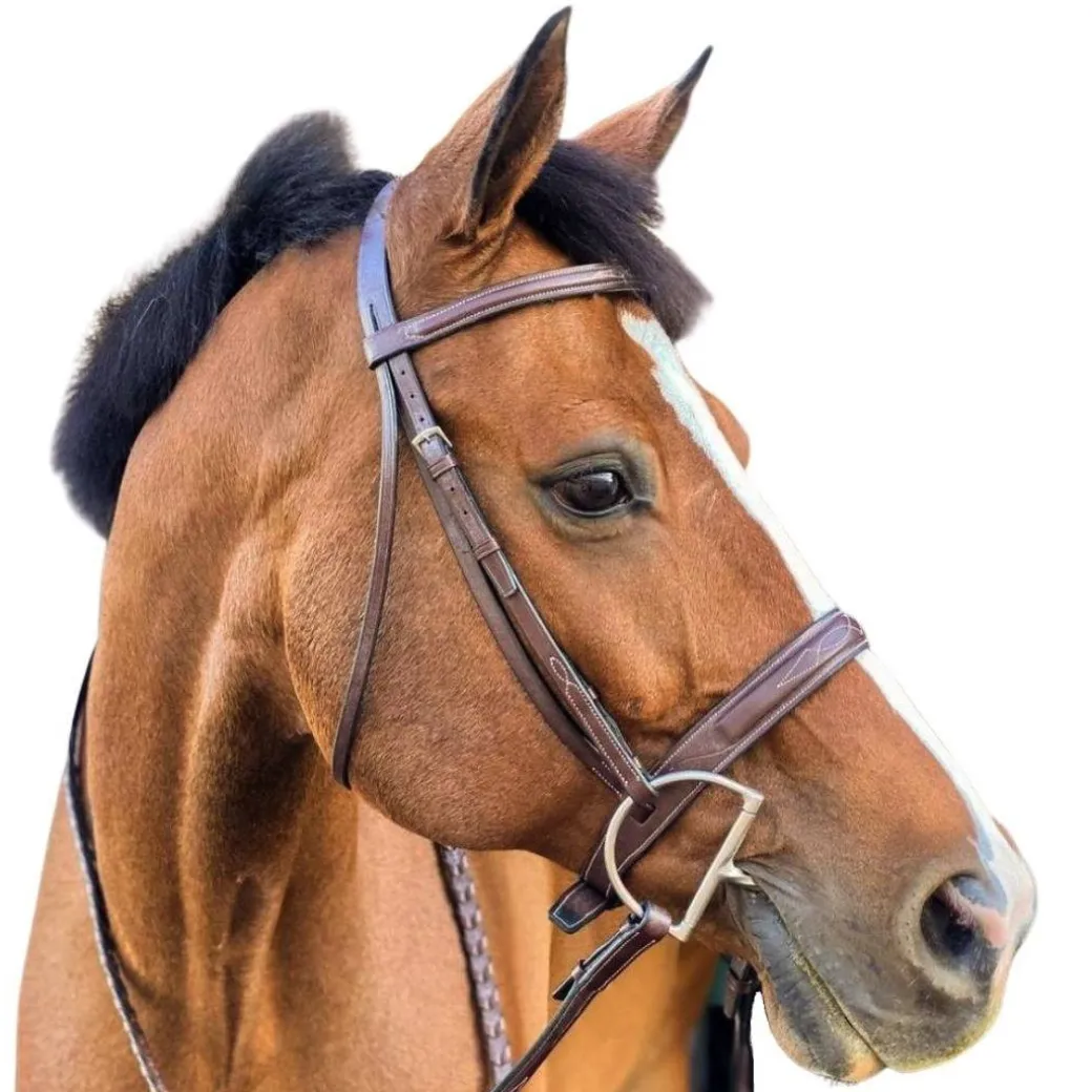 Beval Heritage Wide Fancy Stitch Bridle