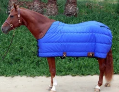 Big D Kodiak Stable Blanket