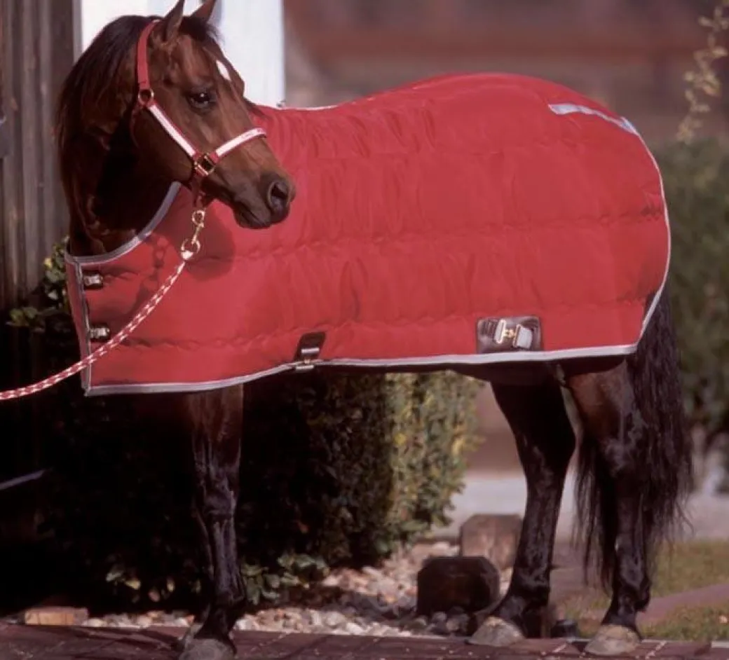 Big D Kodiak Stable Blanket