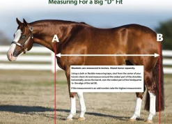 Big D Kodiak Stable Blanket