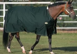 Big D Sussex Turnout Blanket
