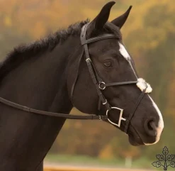 Black Oak Birch Figure 8 Bridle