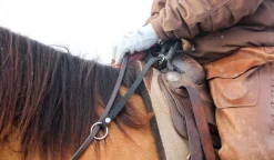 BOOMA Rein Safety Rein