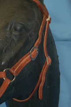 Buckaroo Leather Flat Nose Sidepull
