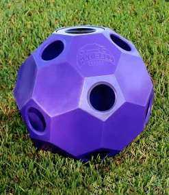 Burlingham Sports Hay Ball Feeder