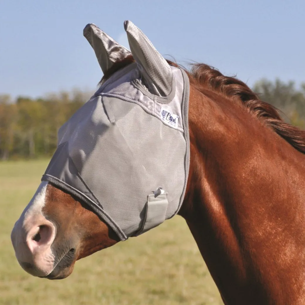 Cashel Crusader Fly Masks