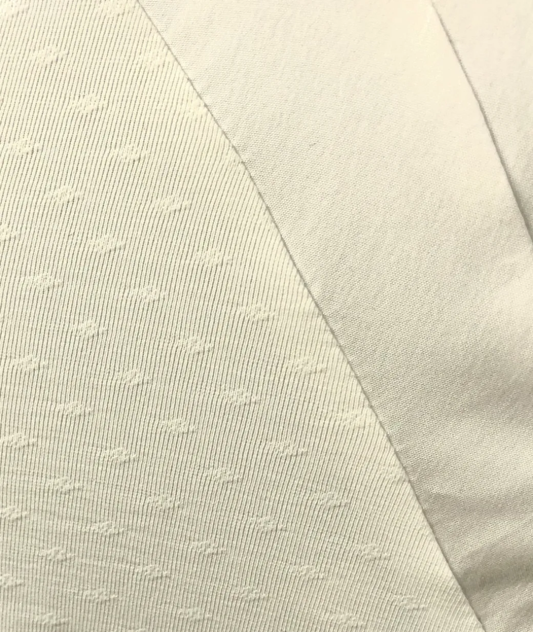 Cavalleria Toscana Fan Bib Swiss Dot Show Shirt