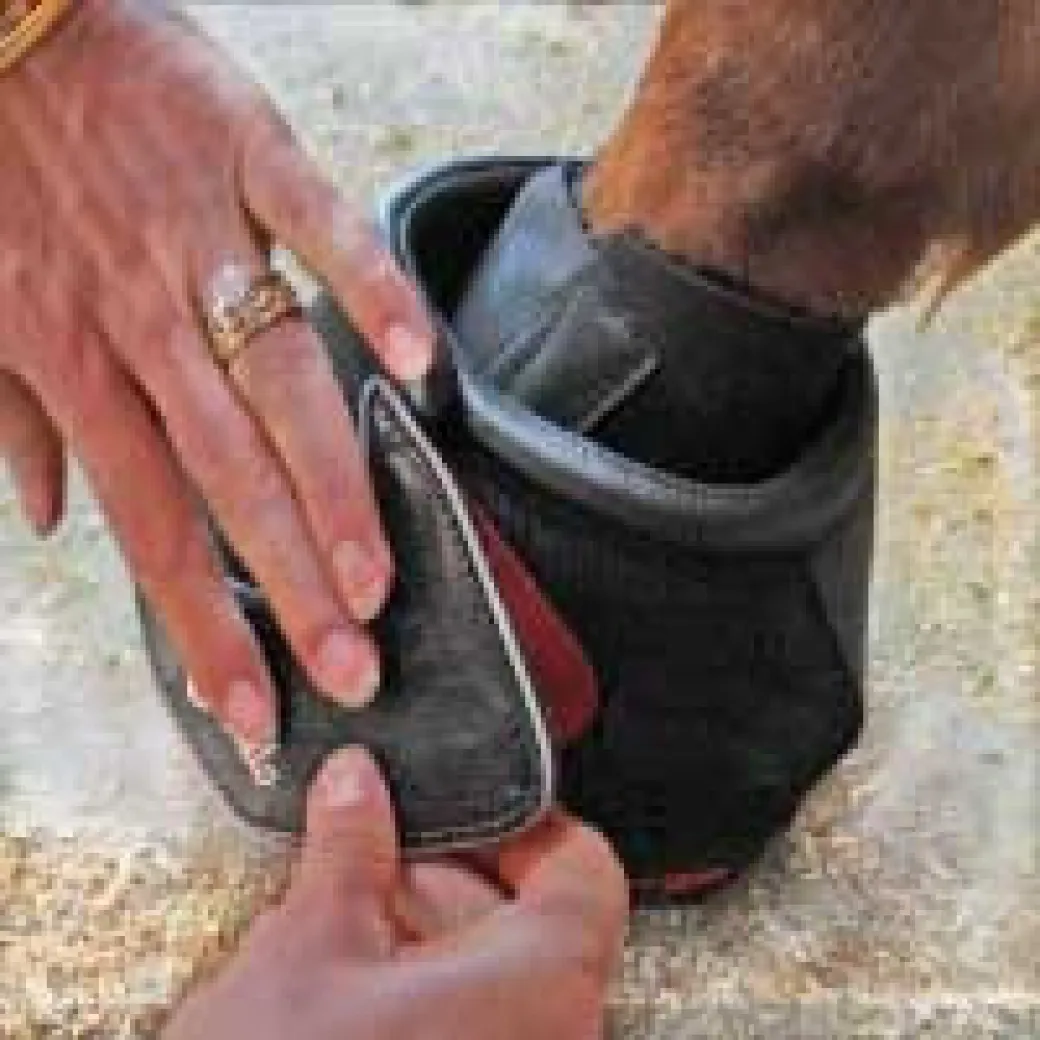 Cavallo Pastern Wraps