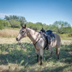 Circle Y Alabama Trail Gaiter Saddle 1581