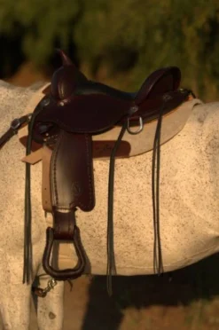 Circle Y Salt River Flex2 Trail Saddle 1667