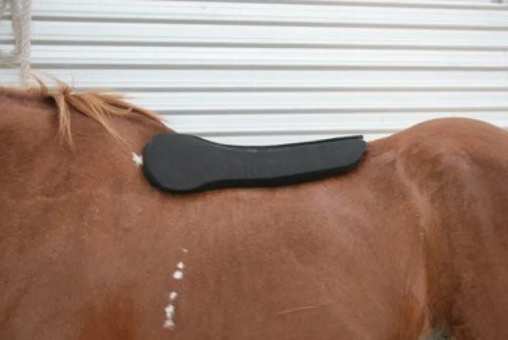 Circle Y Shoulder Bridge Pad 3/4" or 1"