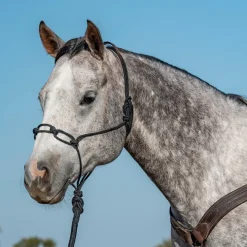 Classic Equine Chain Link Rope Halter