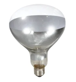 Clear Heat Lamp Bulb for Brooder Reflector