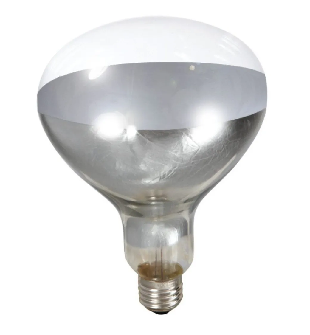 Clear Heat Lamp Bulb for Brooder Reflector