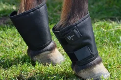 Click Fetlock Shields