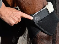 Click Hock Shield Ultra