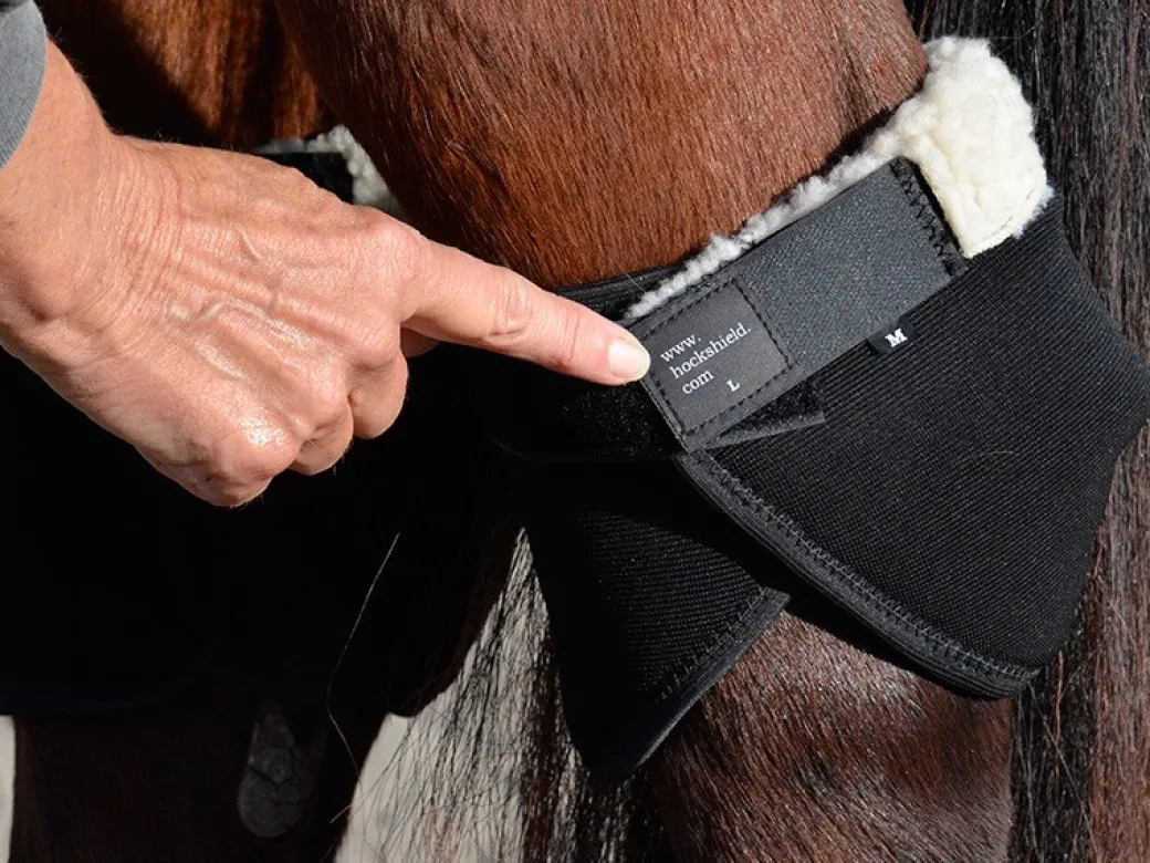 Click Hock Shield Ultra