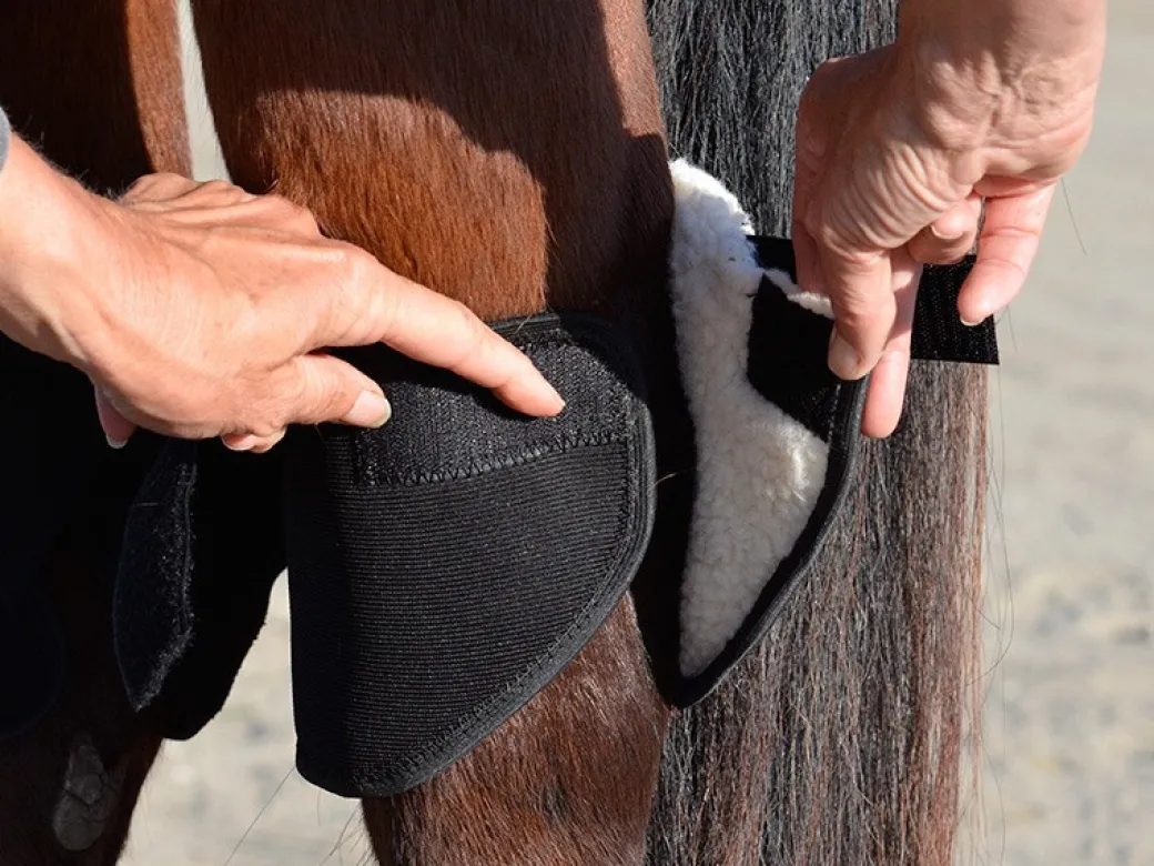 Click Hock Shield Ultra