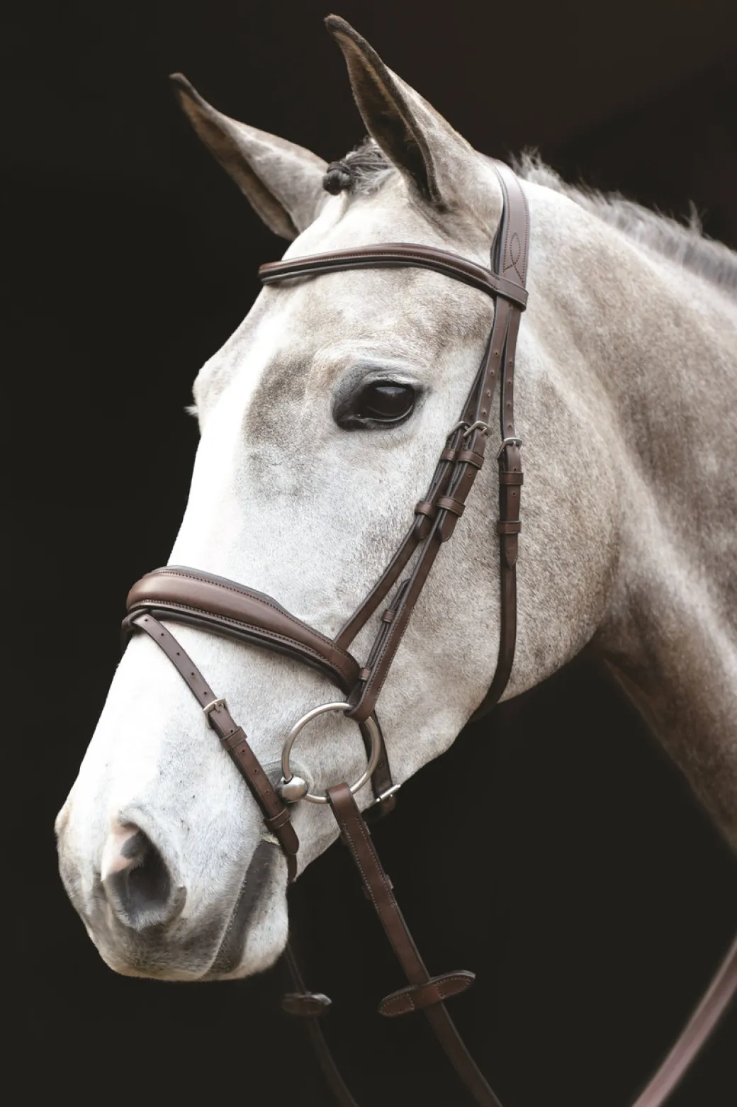 Collegiate Monocrown Wide Flash Bridle