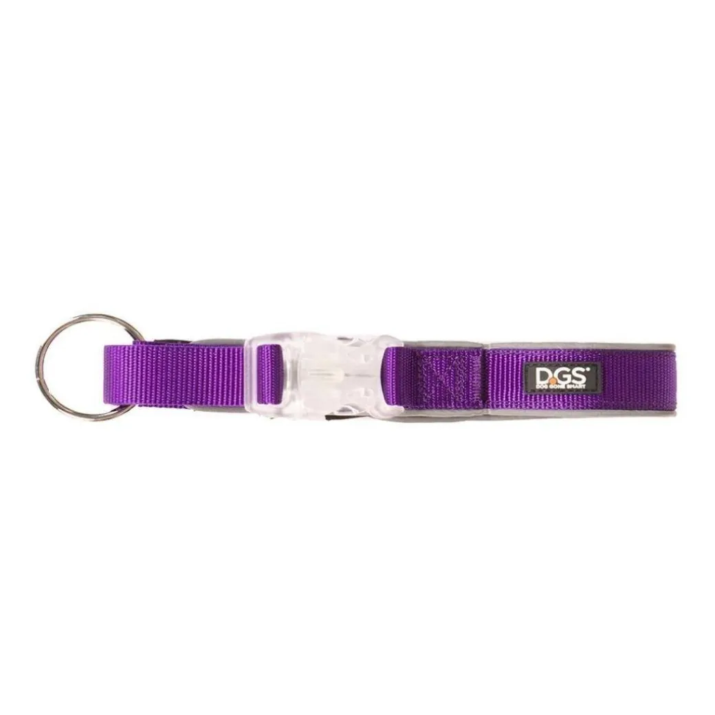 Comet LED Collar for Dogs