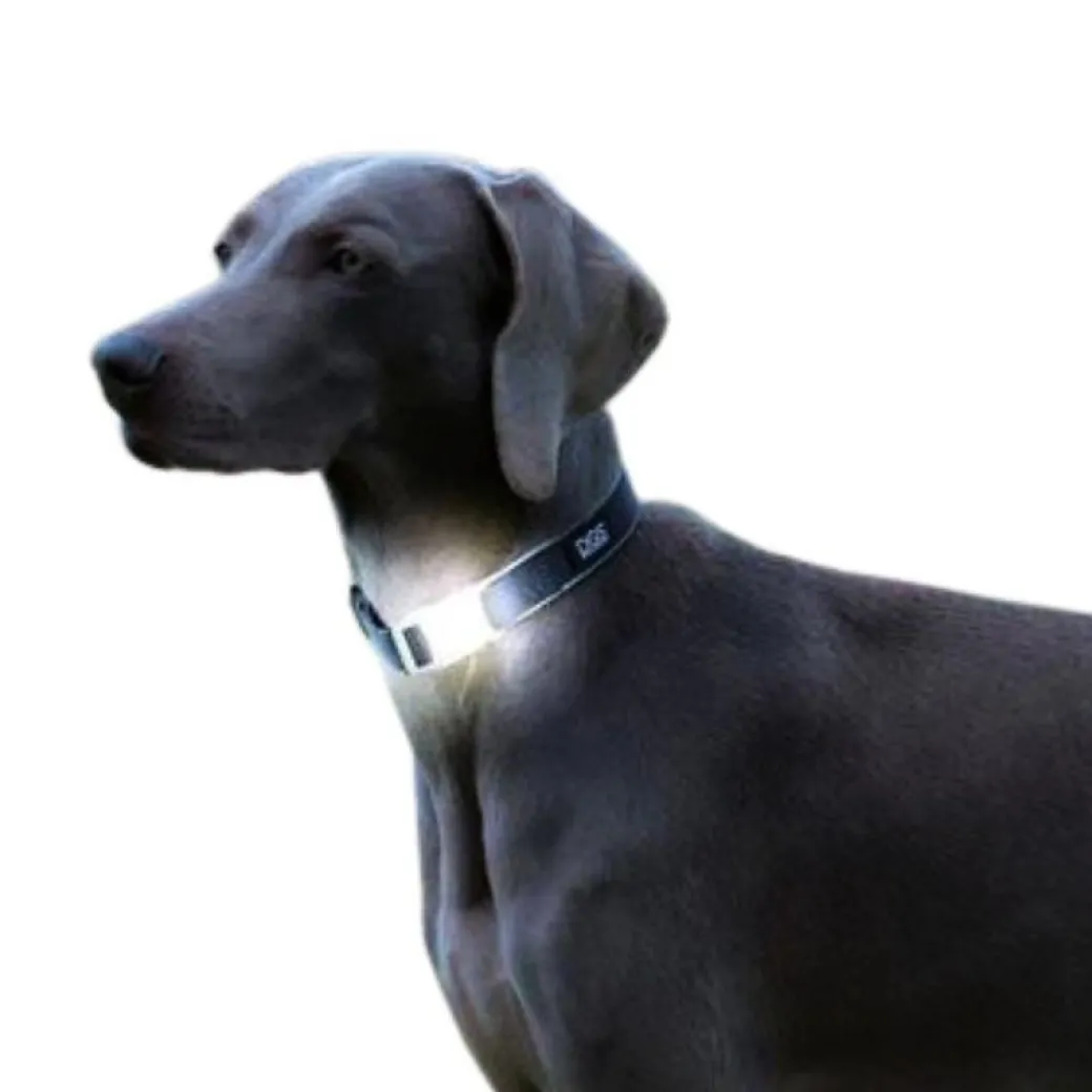 Comet LED Collar for Dogs