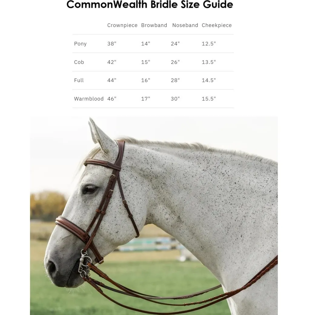 CommonWealth Braided Training Bridle