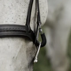 CommonWealth Braided Training Bridle