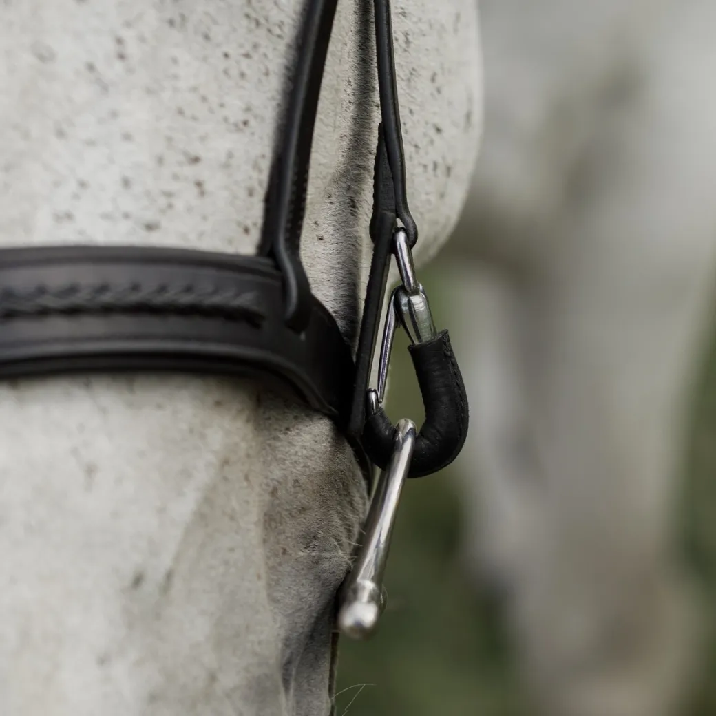 CommonWealth Braided Training Bridle