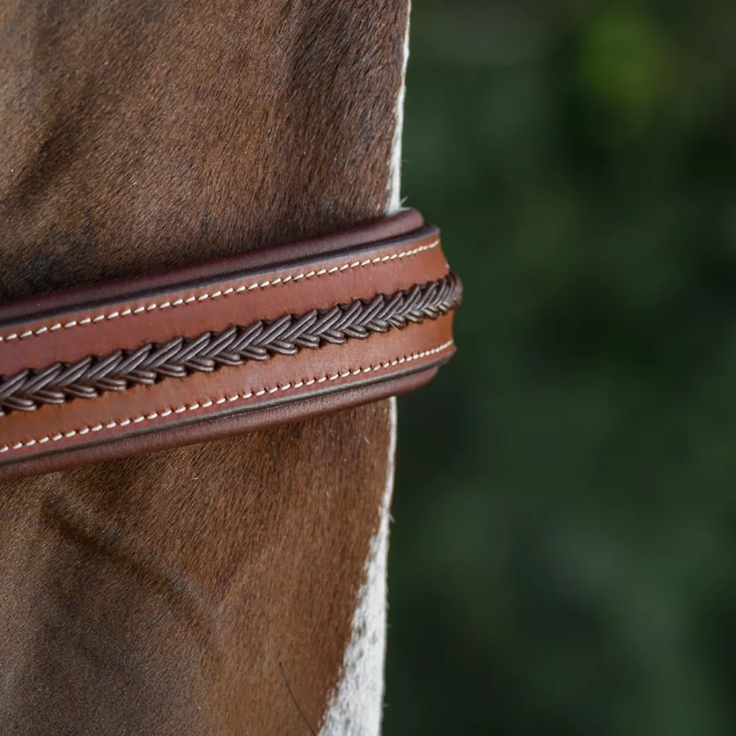 CommonWealth Braided Training Bridle