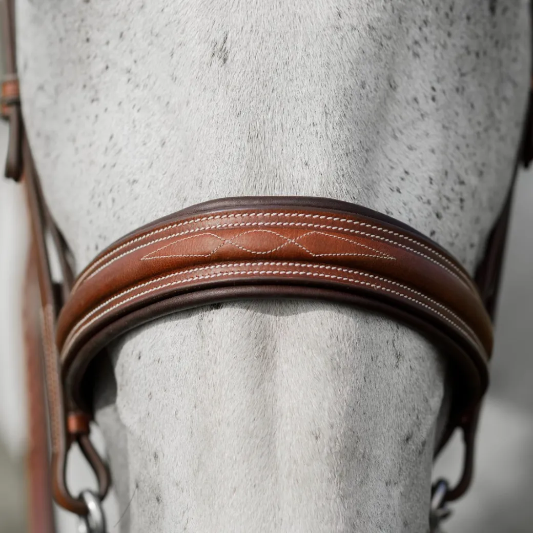 CommonWealth Hunter Bridle